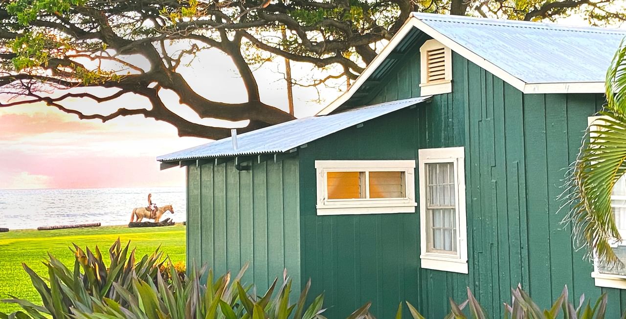 Green cottage and trees