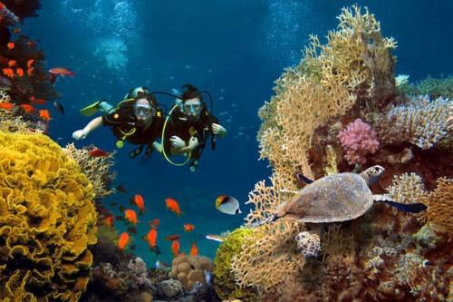 Two scuba divers explore a vibrant coral reef near Grand Park Kodhipparu, Maldives