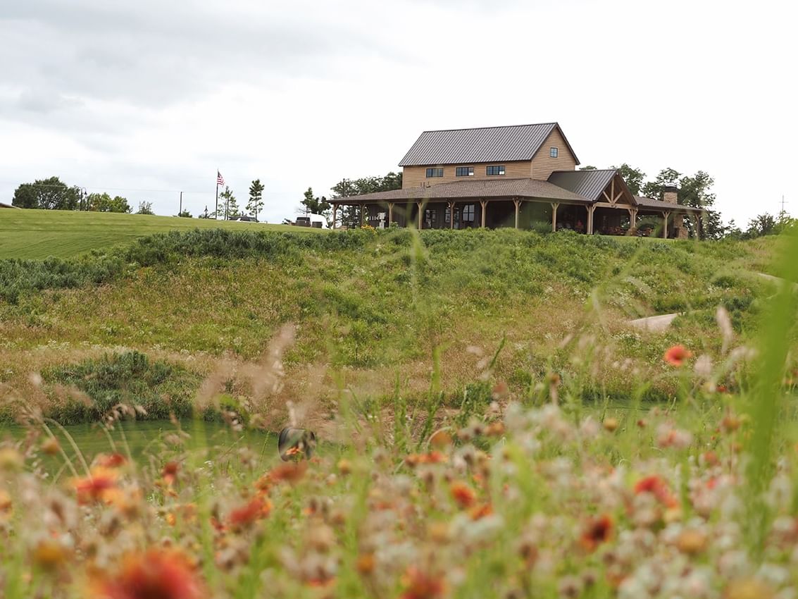 Thanksgiving Week Getaway