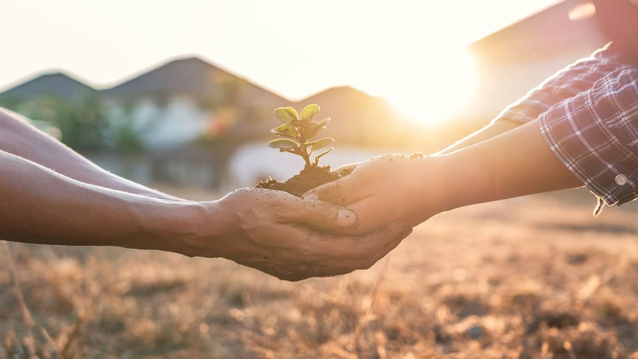 Hands holding a small plant with soil, set against a sunlit background at Coast Penticton Hotel