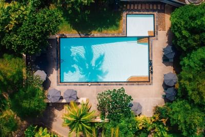 A bird eye view of Saeng Chan Pool, surrounded by the trees at Paradox Resort Phuket