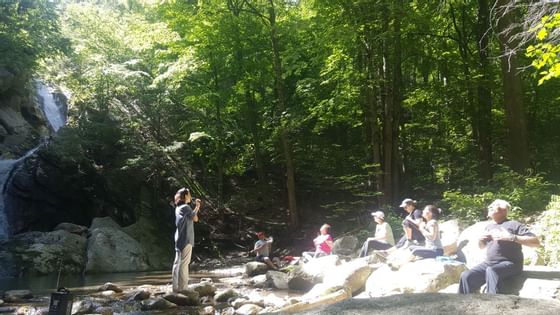 People sitting on rocks in woods next to waterfall