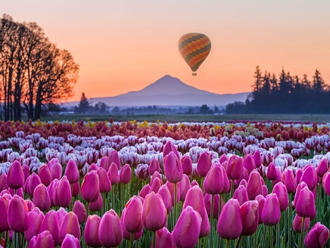 Save The Dates For These Spectacular 2024 Oregon Flower Festivals