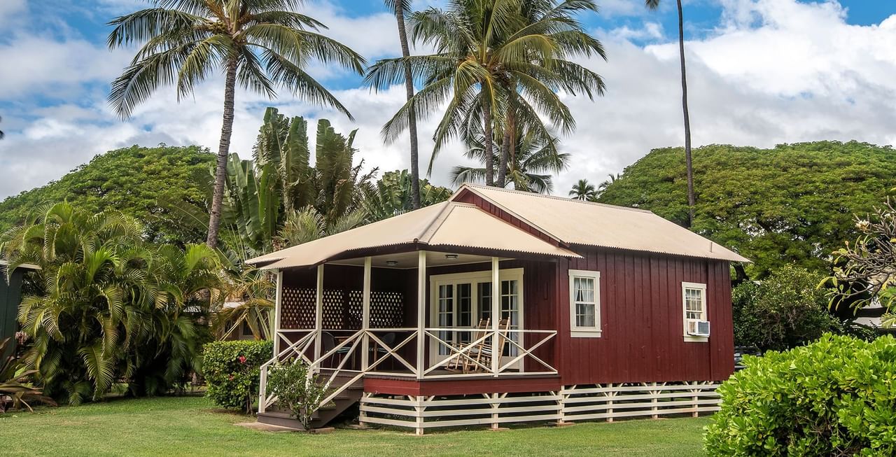 Cottage with trees and bushes