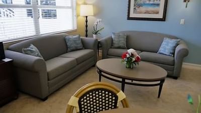 living room setup
