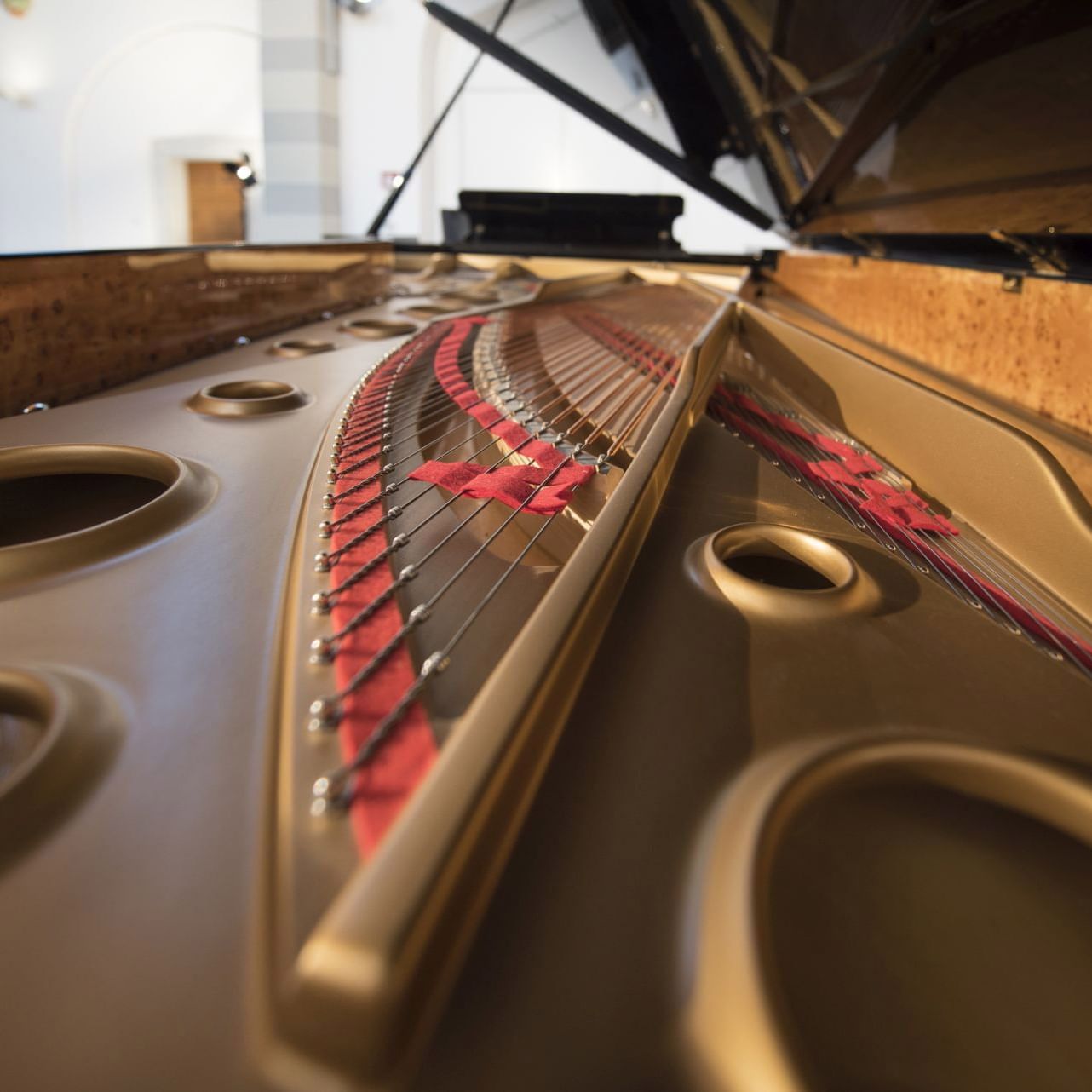 Animato Music Event at Hotel Collegium Leoninum, Bonn
