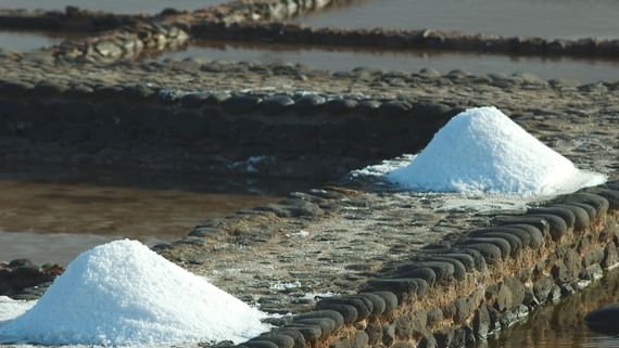 Salinenmuseum Del Carmen