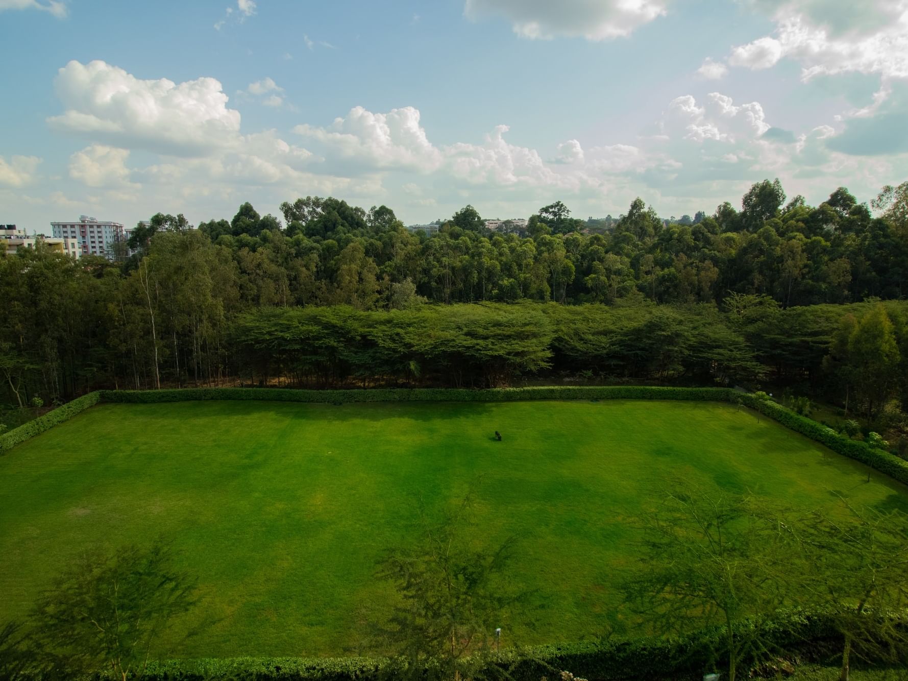 Aerial view of the expansive Misumi Garden with lush green lawn and trees at Tamarind Tree Hotel in Nairobi.
