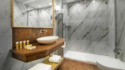 Sink with shower area in a bathroom at Ana Hotels Bradu