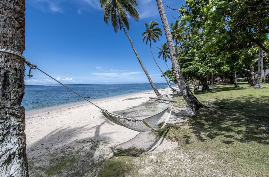 White rope hammock tied by palm trees on a sandy beach under a clear blue sky at Tambua Sands Beach Resort