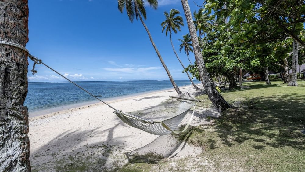 Hammock on a sandy beach under palm trees at Tambua Sands Beach Resort in Sigatoka.