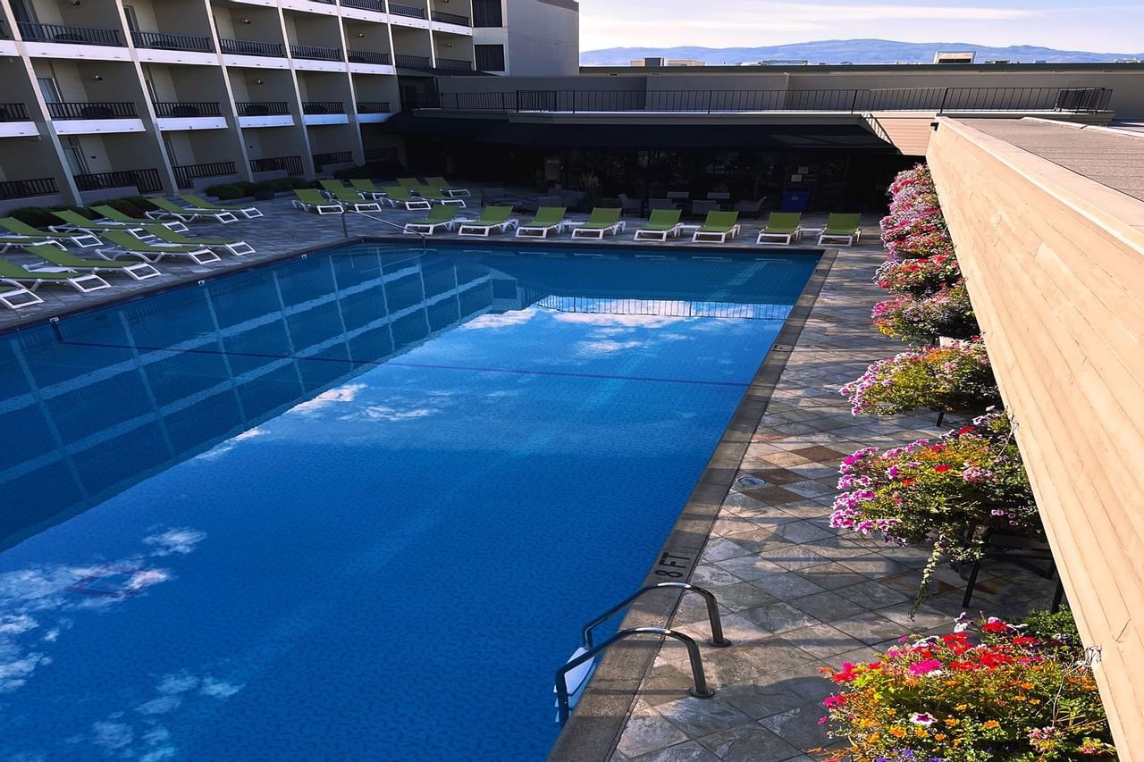 Swimming pool with flower assortments