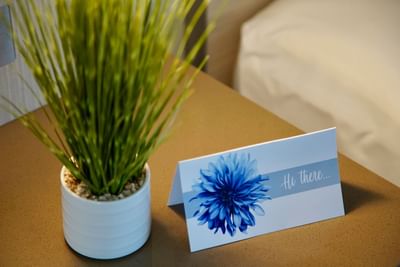 Potted green grass and a welcome card on a side table in Ocean View Double at The Abidah Hotel by Accra