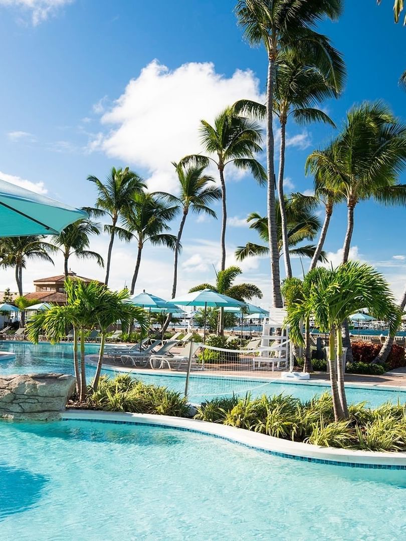 Lounge chairs by a blue pool under palm trees near Warwick Paradise Island Bahamas