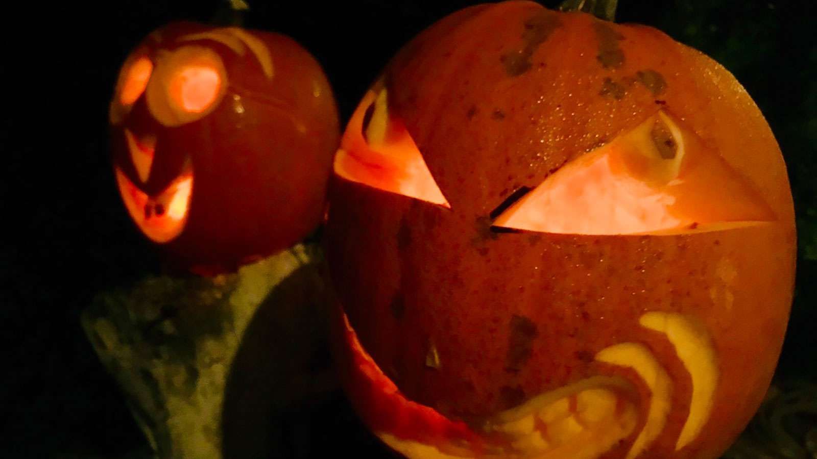 Close-up of Haloween pumpkins at The Signature Collection