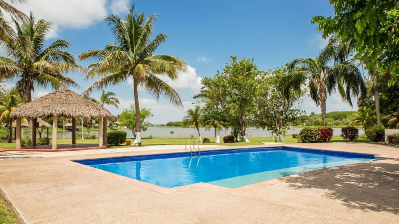 Outdoor pool area with the garden view at Fiesta Inn Tampico