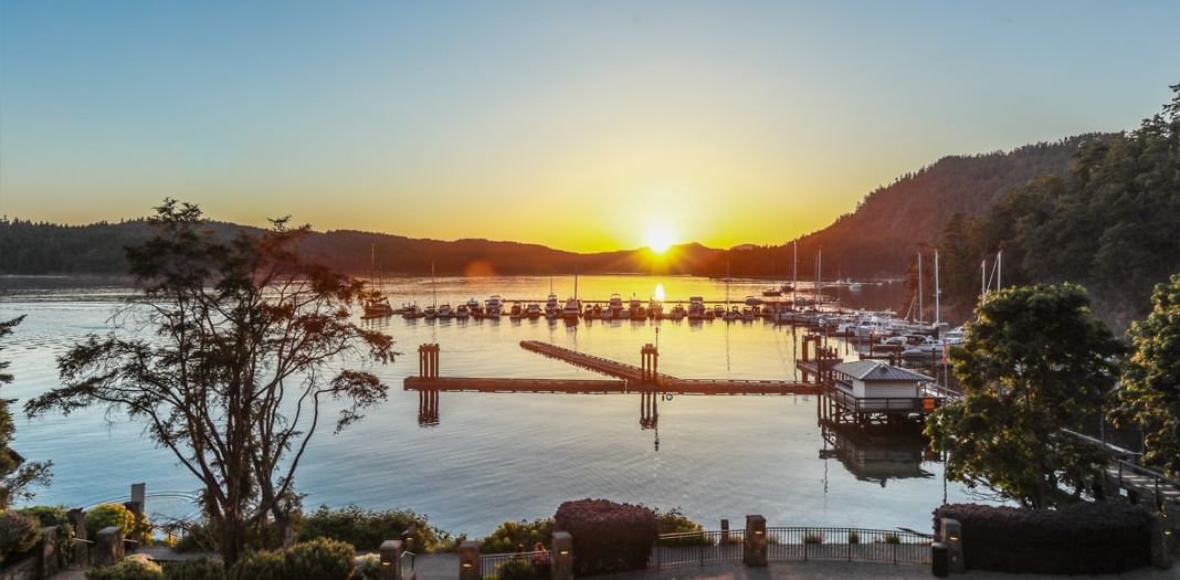 Poets Cove Resort marina
