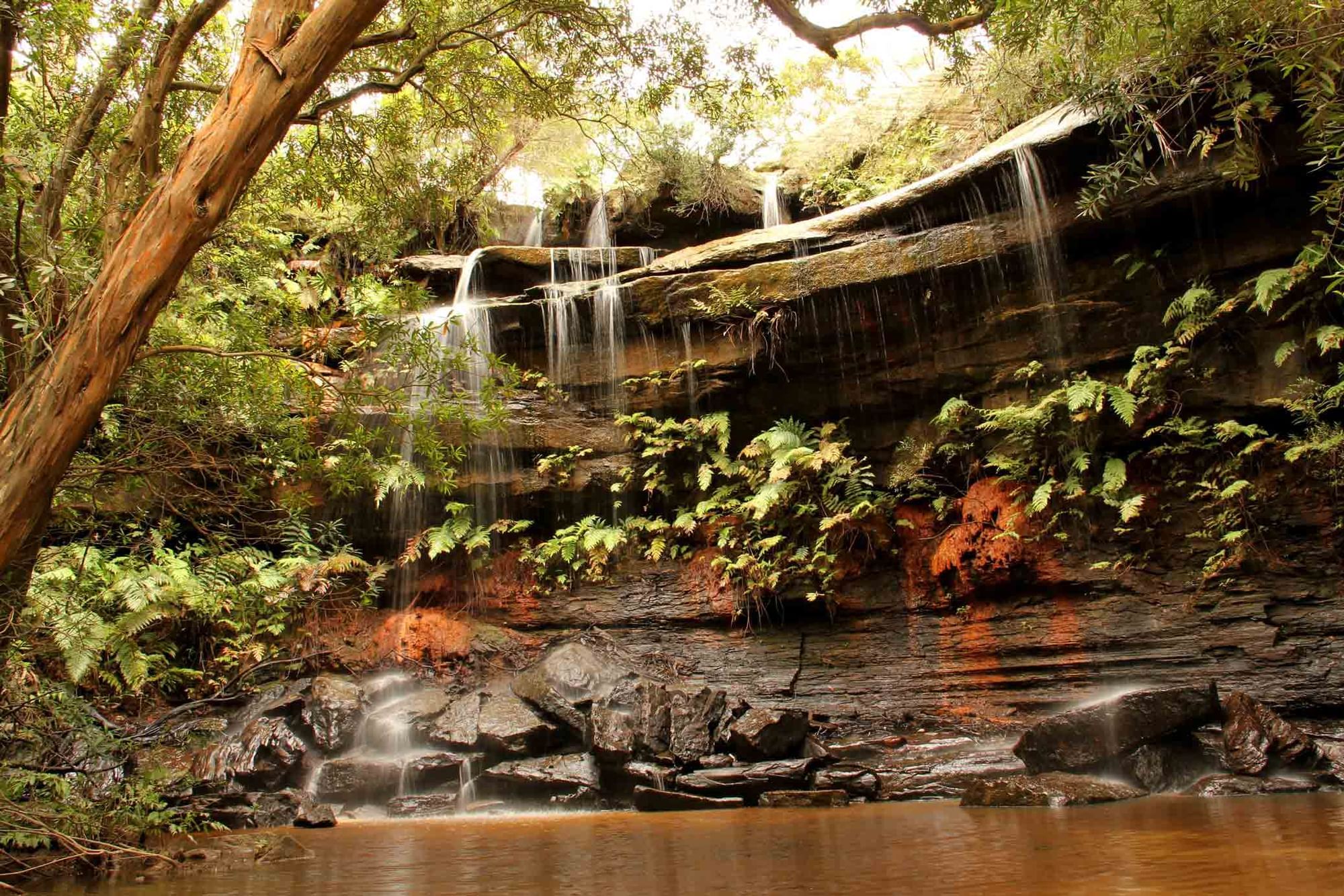 girrakool loop walking track with a beautiful waterfall