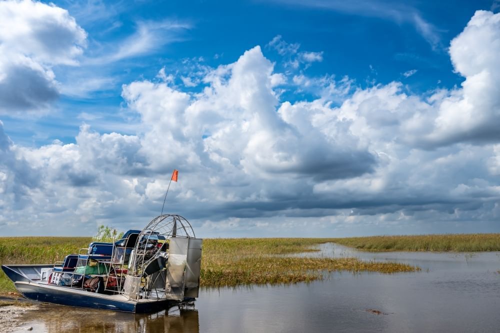 An airboat sits on calm swamp water surrounded by marshy greens beneath a blue sky with large clouds.