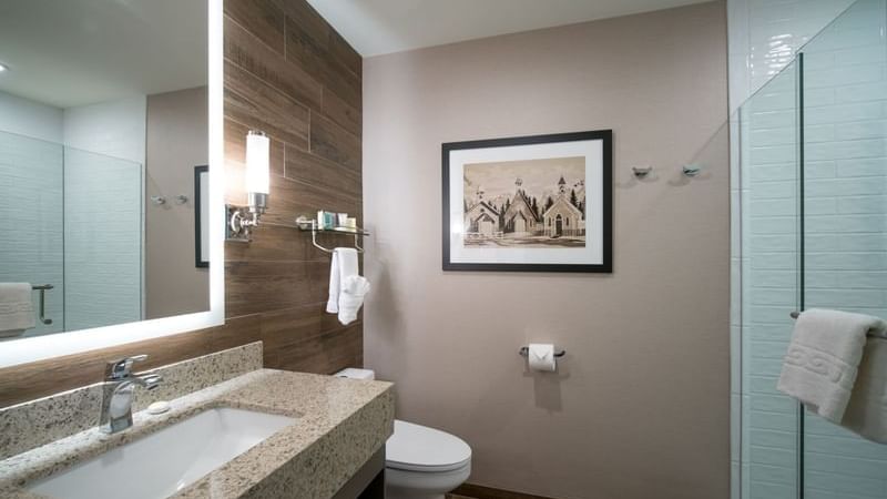 Malcolm Double Queen Pet Friendly