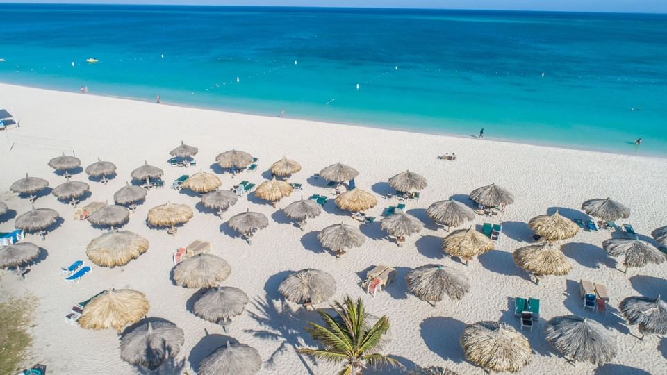 Aerial view of Bamboo Huts on the beach near Eagle Aruba Resort