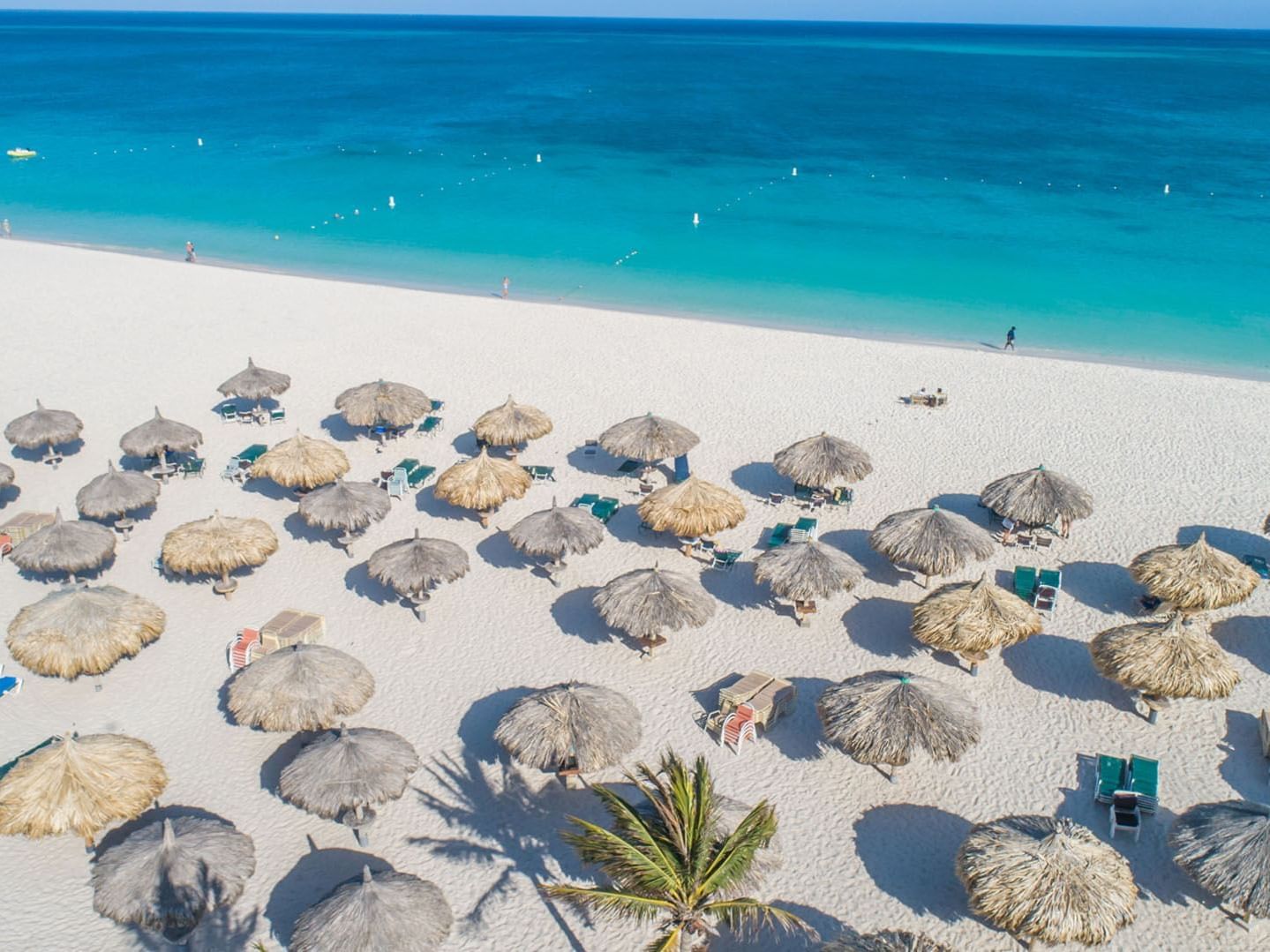 Aerial view of Bamboo Huts on the beach near Eagle Aruba Resort