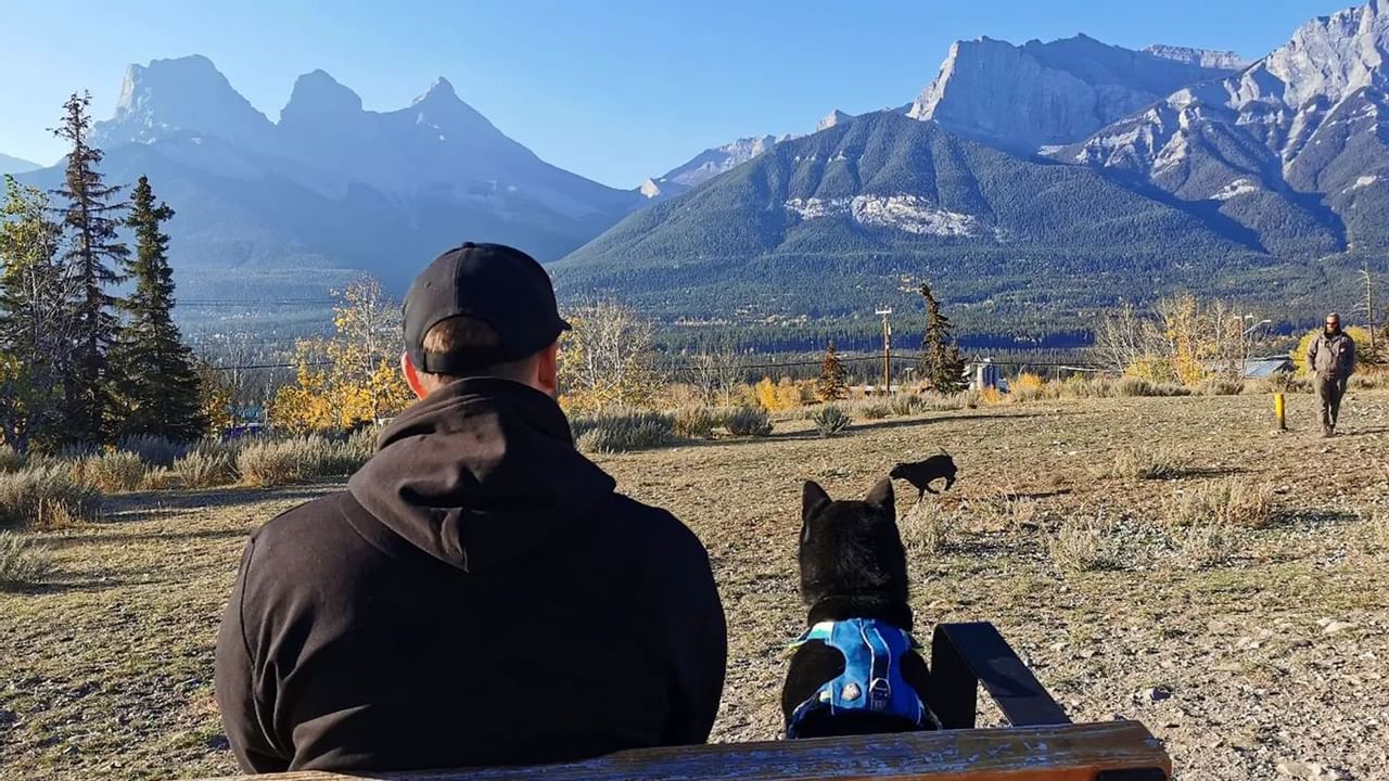 Man and his dog overlook Rockie Mountains