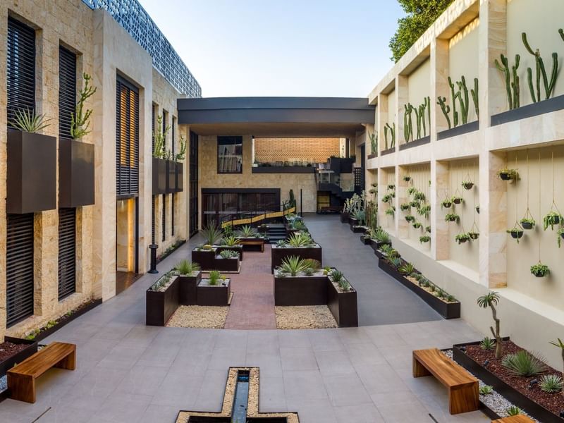 Modern hotel entrance with desert plants in planters on a sunny day at Grand Fiesta Americana