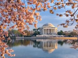 The Jefferson Memorial near Kellogg Conference Center