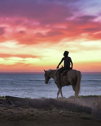 horse riding in Hawaii
