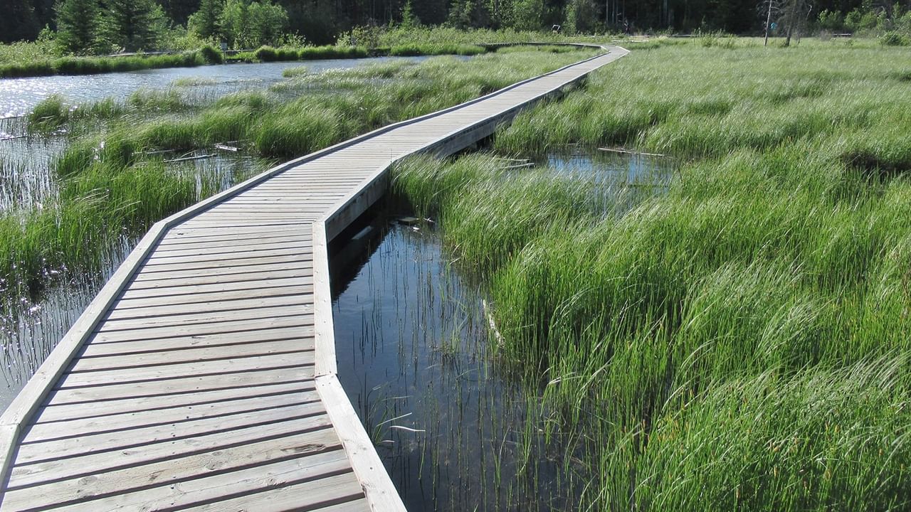 The Beaver Boardwalk near Coast Hinton Hotel