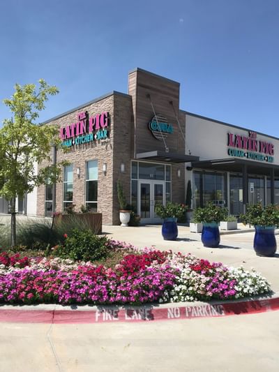 exterior of the latin pig