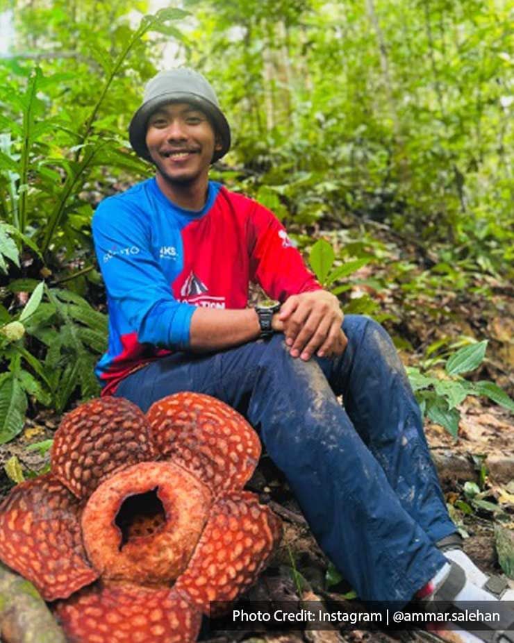 a man sitting on the ground with a rafflesia at the side - Lexis PD