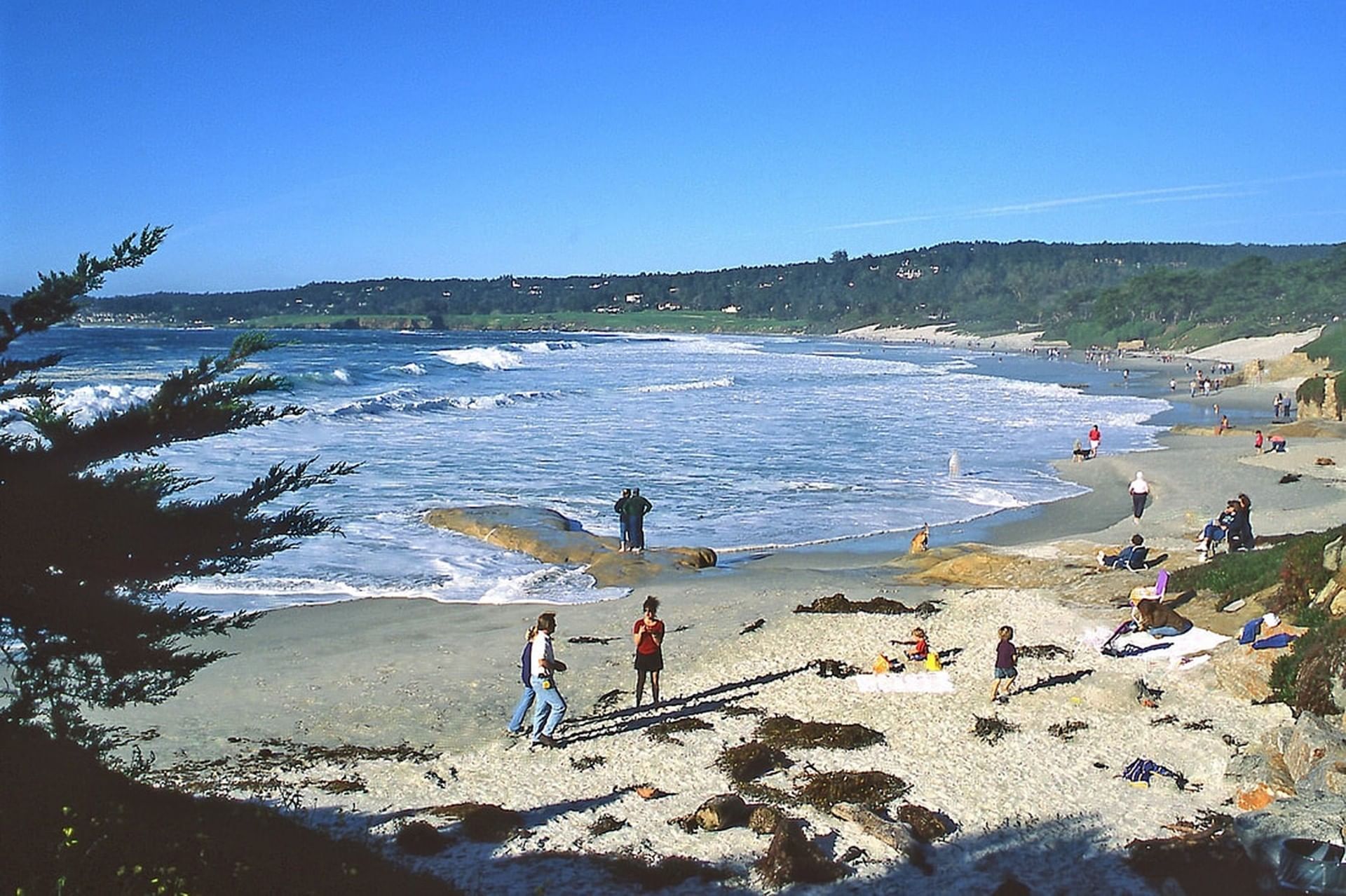 People on the shore of Carmel Beach
