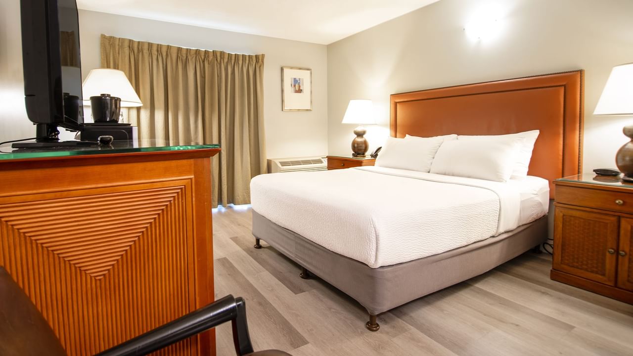 Hotel guestroom with queen bed and TV