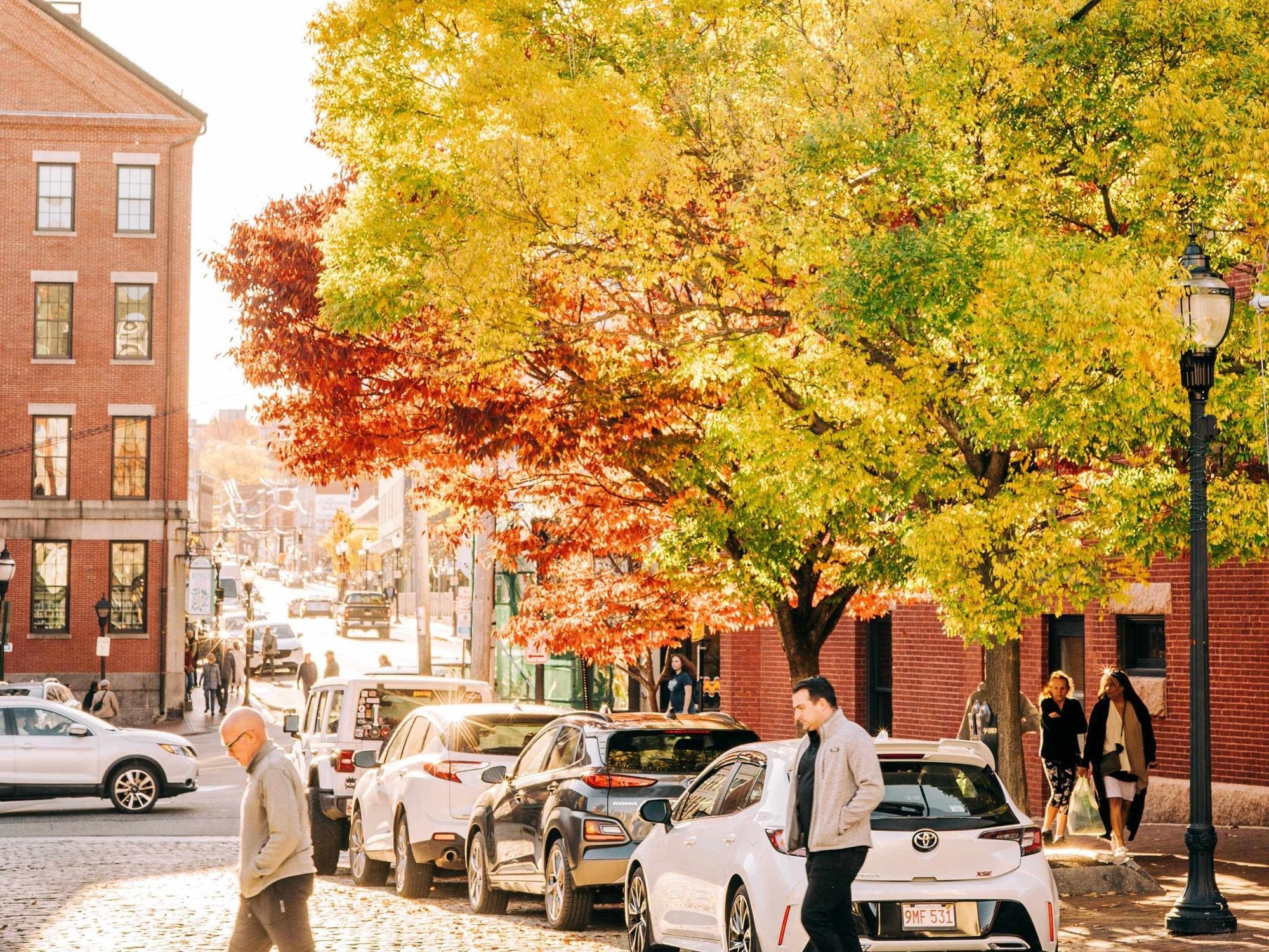 Cobblestone street lined with vibrant autumn trees and brick buildings as pedestrians cross in warm sunlight.