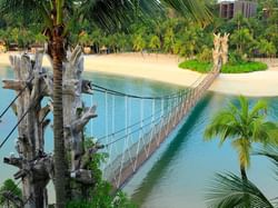 Sentosa hanging bridge near Paradox Singapore Merchant Court