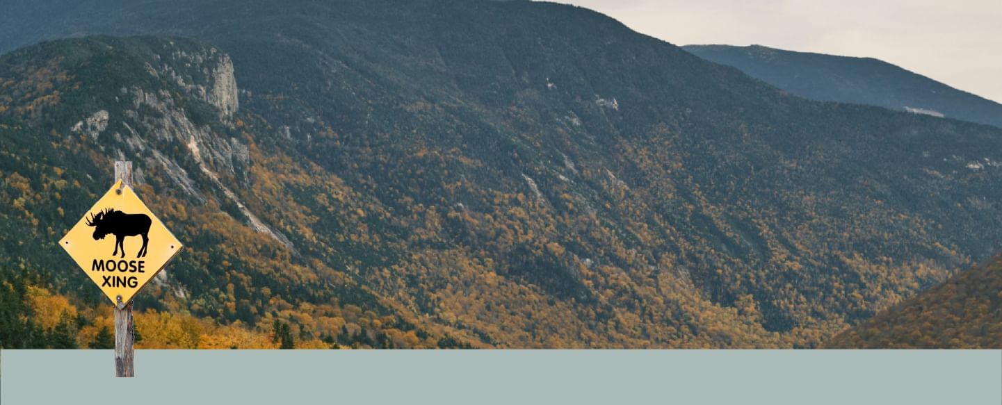 Distance view of mountains and display Moose XING Sign near The Bethel Resort & Suites