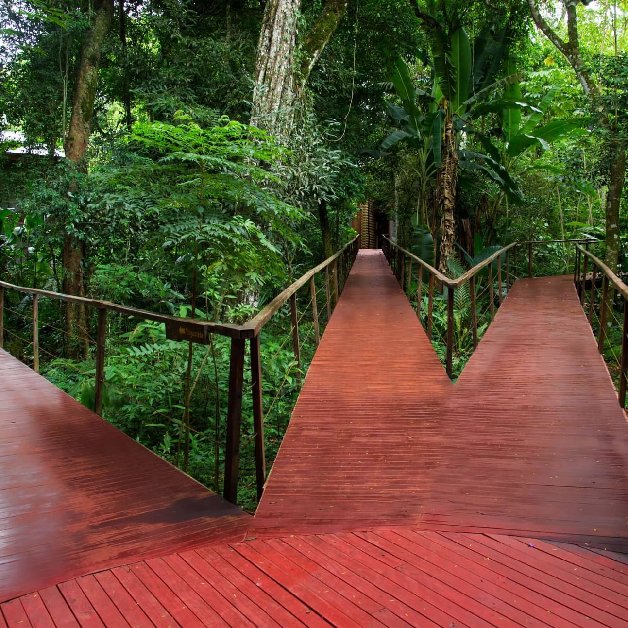 Wooden pathways through forest at La Cantera Lodge