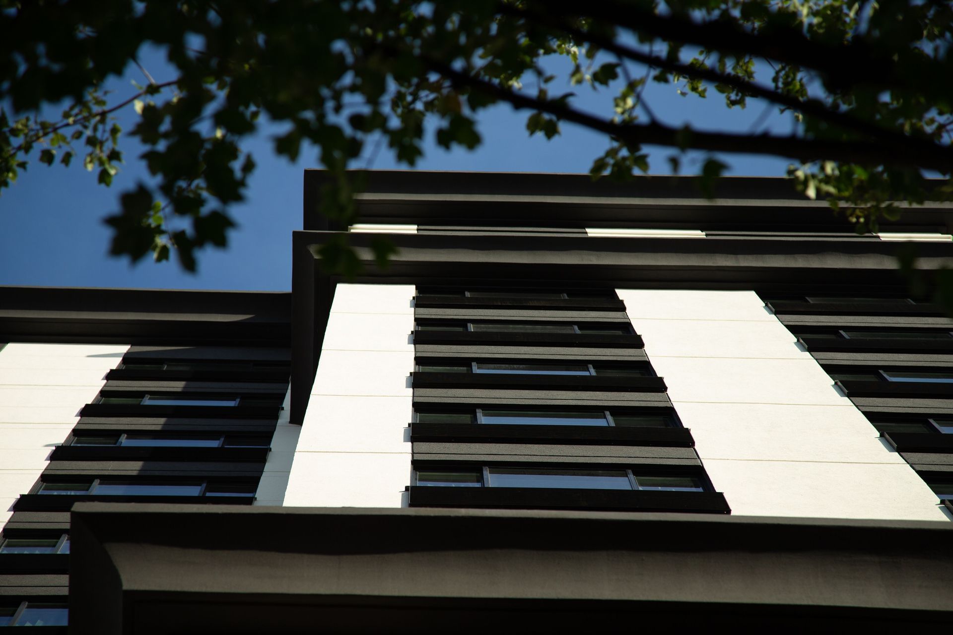a low-angle shot of a building's exterior with a tree in the foreground