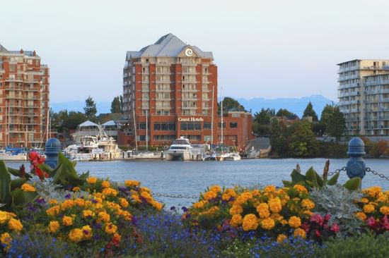 Garden with view of Coast Hotel across harbour