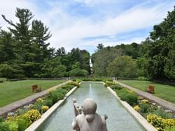 The Cranbrook House's garden near the Kingsley