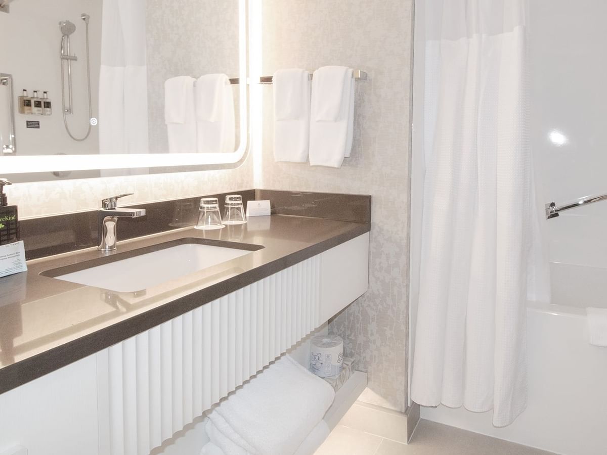 Hotel washroom with grab bars in the shower