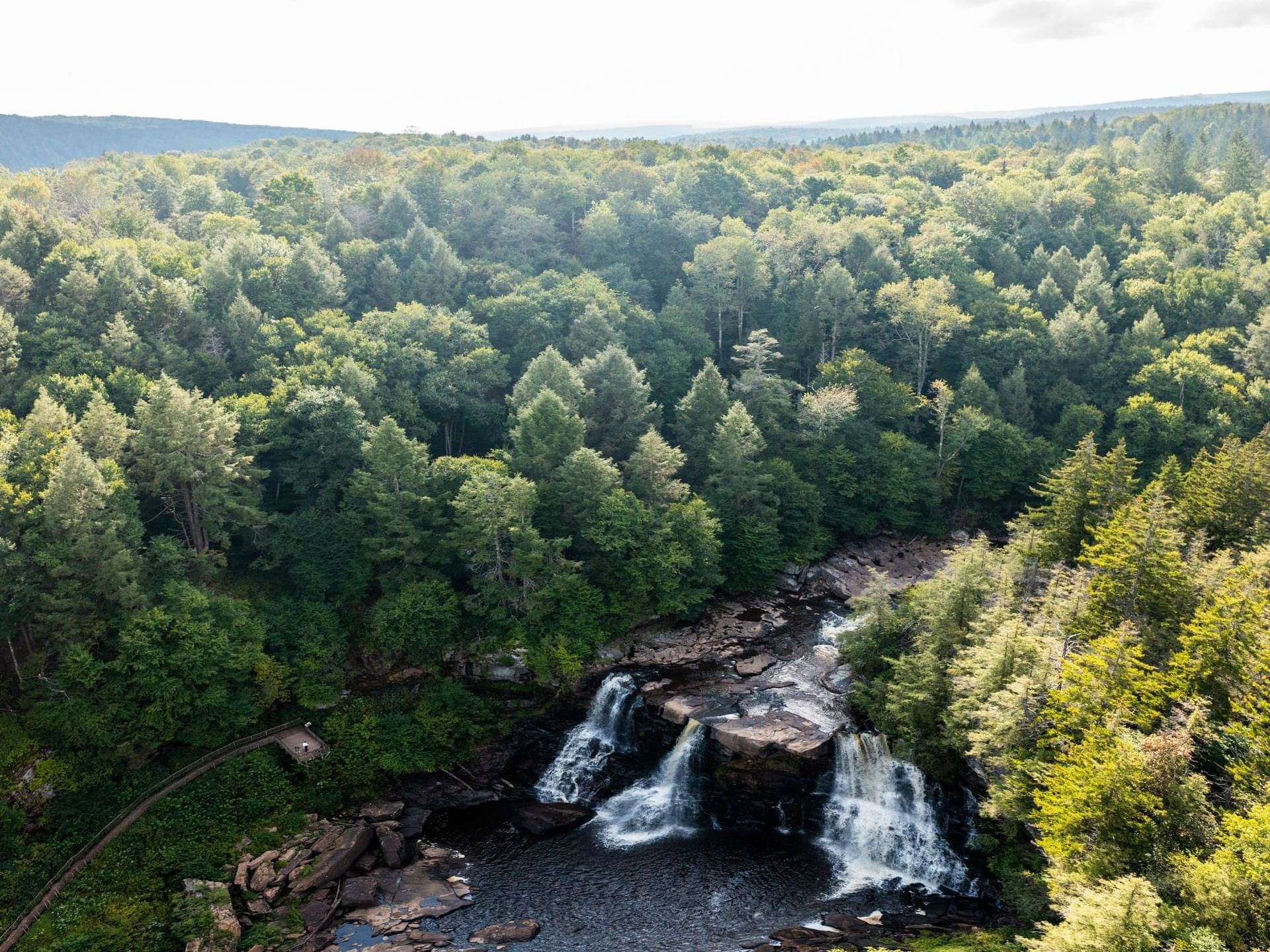 Aerial view of the woods & Blackwater Falls State Park in Tucker County near The Inn at Canaan