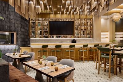 An upscale resort dining room showcasing contemporary decor and premium seating arrangements.
