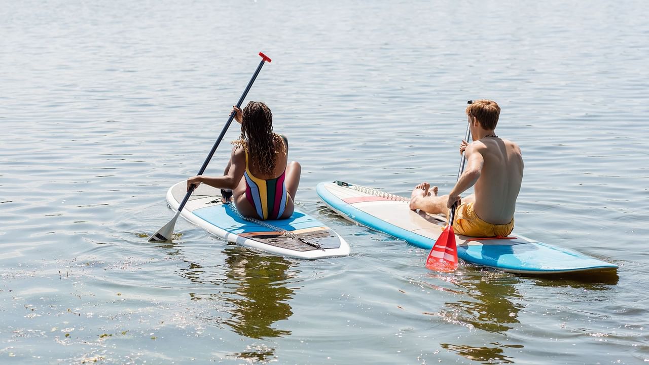 back view of two paddleboarders sitting down on the water