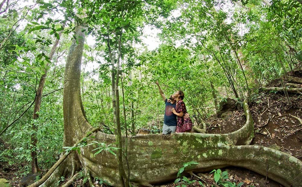 Couple hiking Manuel Antonio's rainforest