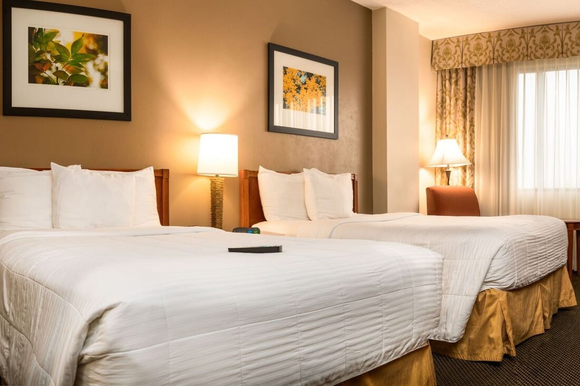 MCM Elegante Hotel Beaumont Beaumont Texas Hotel   Luxury Double Beds Standard 