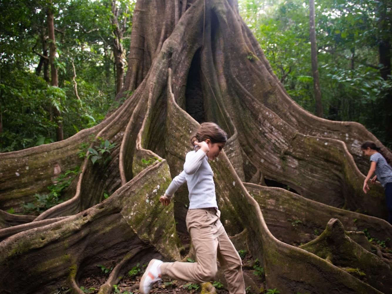 Kids running through buttress roots near Buena Vista Del Rincon