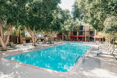 Sunbeds by the outdoor pool area at Araiza Mexicali